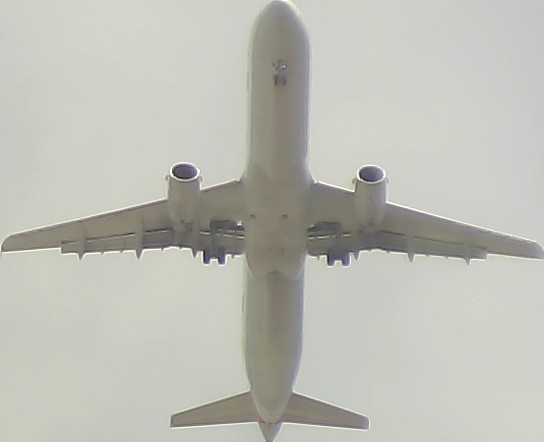 Airplane Picture