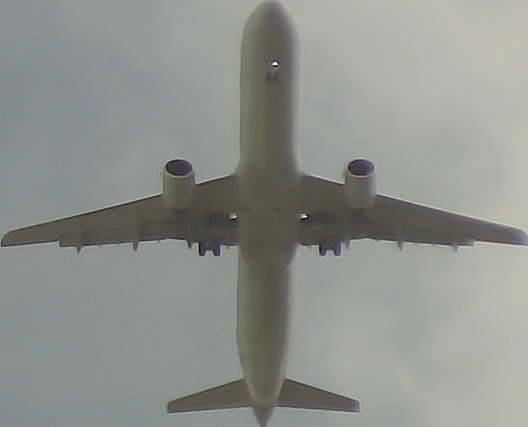 Airplane Picture