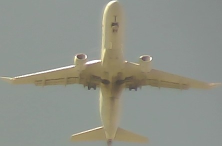 Airplane Picture