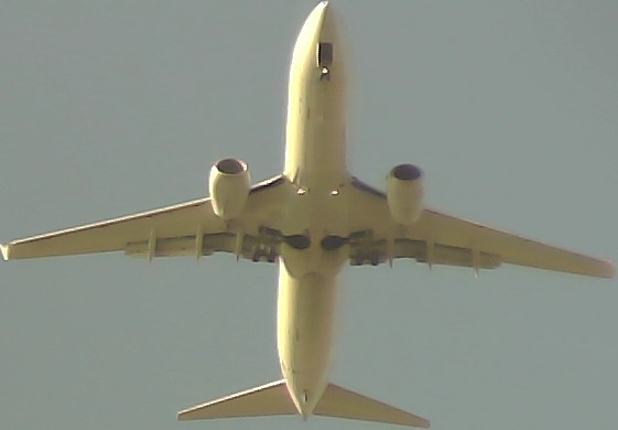 Airplane Picture