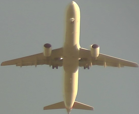 Airplane Picture