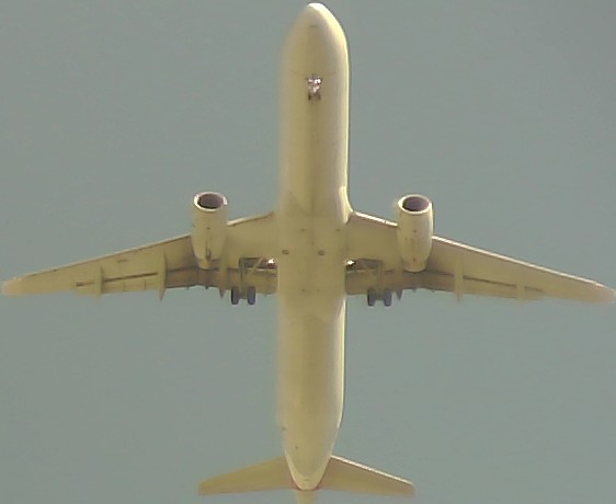 Airplane Picture