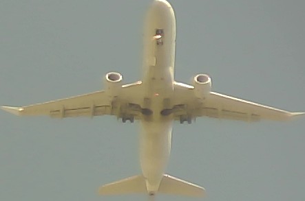 Airplane Picture