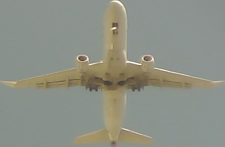 Airplane Picture