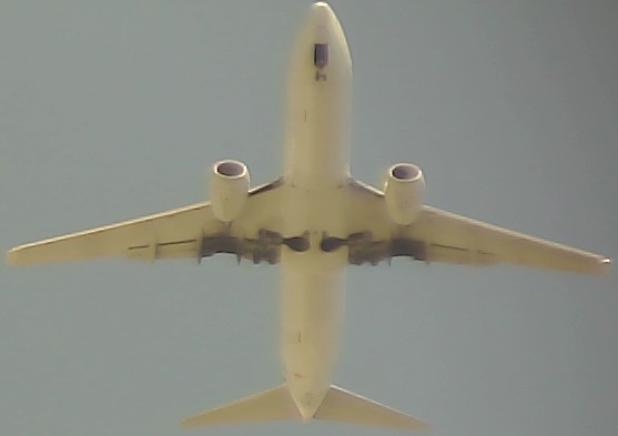 Airplane Picture