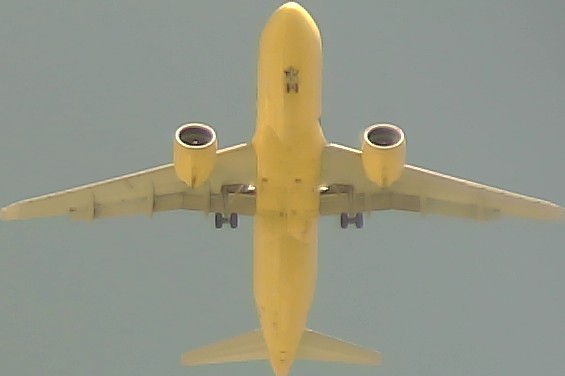 Airplane Picture