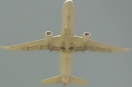 Airplane Picture