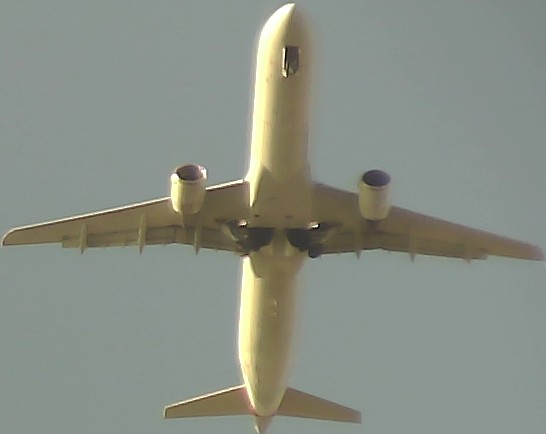 Airplane Picture