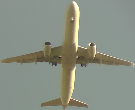 Airplane Picture