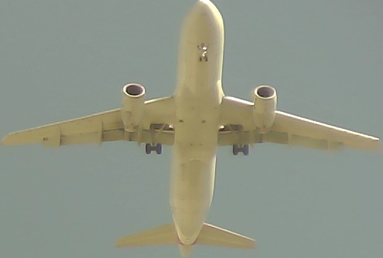 Airplane Picture