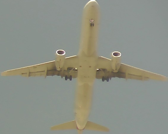 Airplane Picture