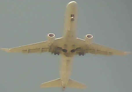 Airplane Picture