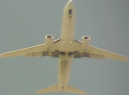 Airplane Picture