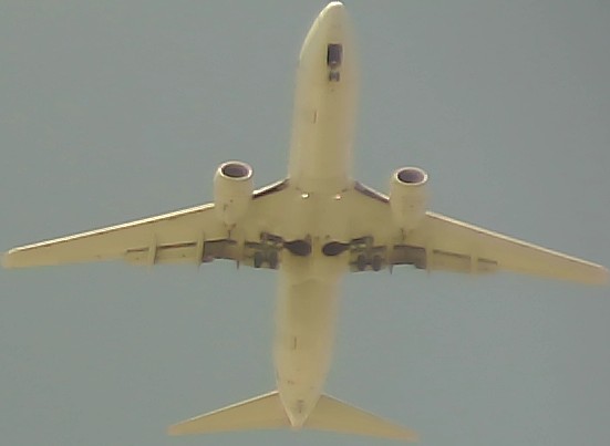 Airplane Picture