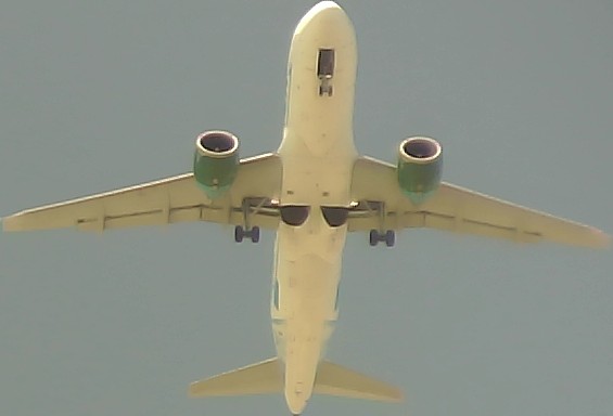 Airplane Picture