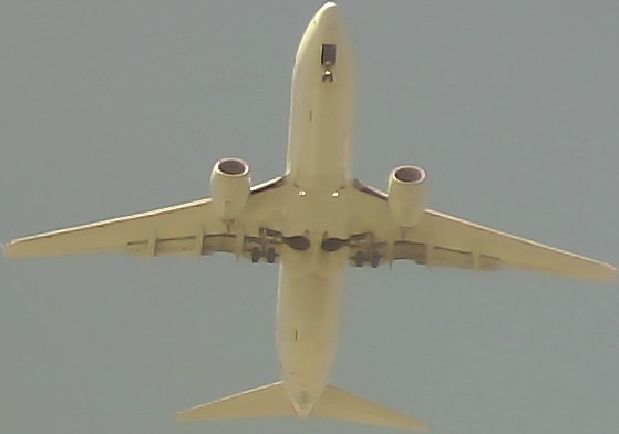Airplane Picture