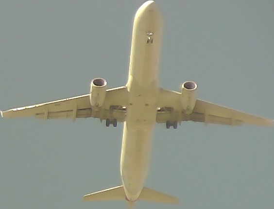 Airplane Picture