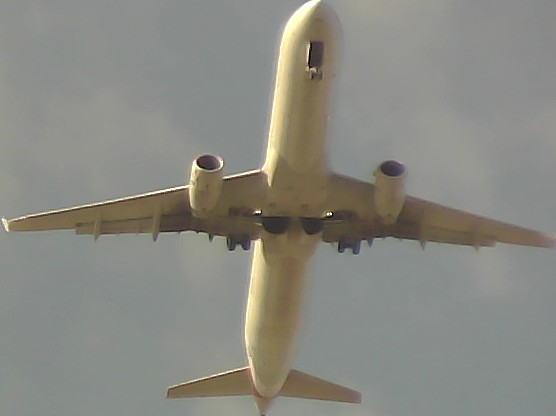 Airplane Picture