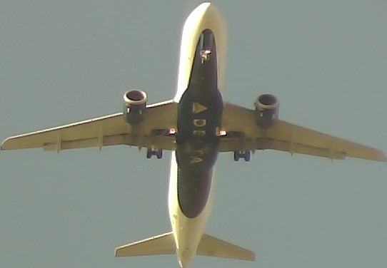 Airplane Picture