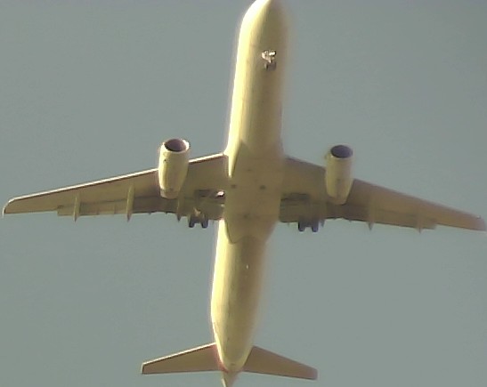 Airplane Picture