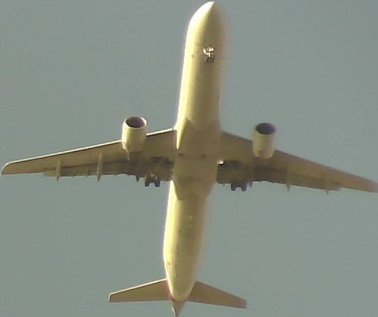 Airplane Picture