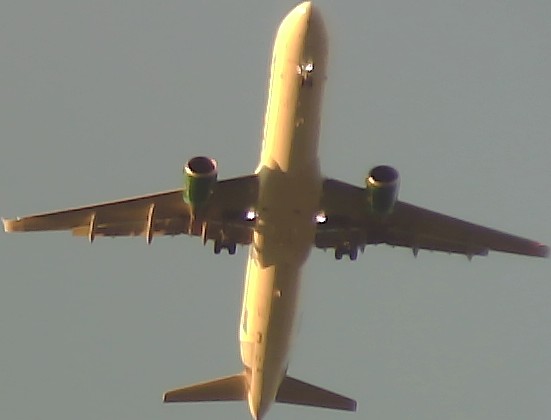 Airplane Picture
