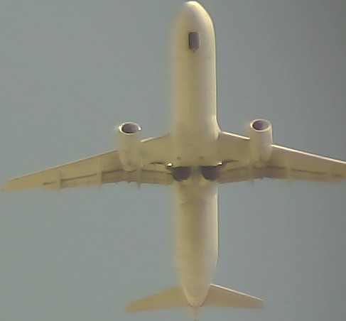 Airplane Picture
