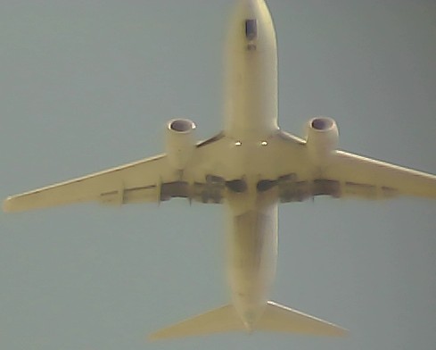 Airplane Picture