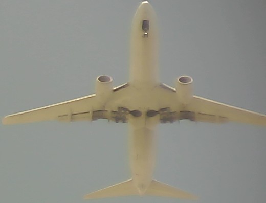 Airplane Picture