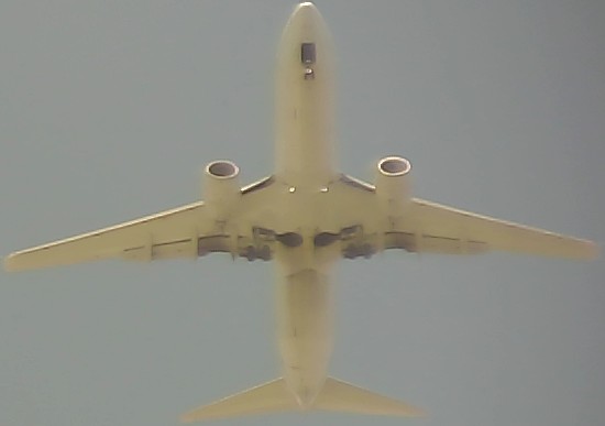 Airplane Picture