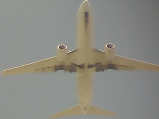 Airplane Picture