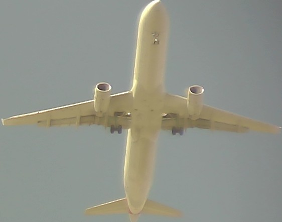 Airplane Picture
