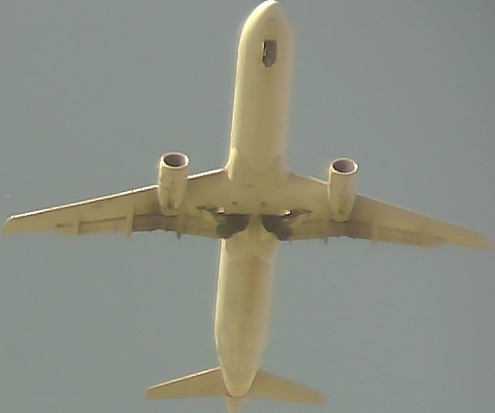 Airplane Picture