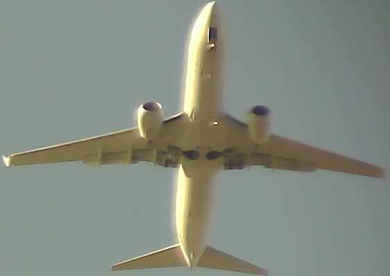 Airplane Picture