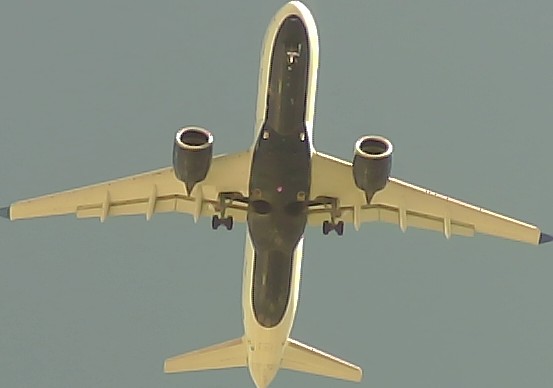 Airplane Picture