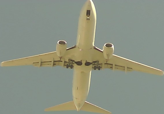 Airplane Picture