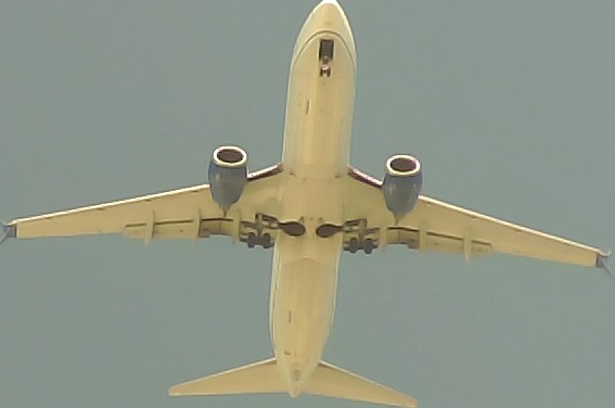 Airplane Picture