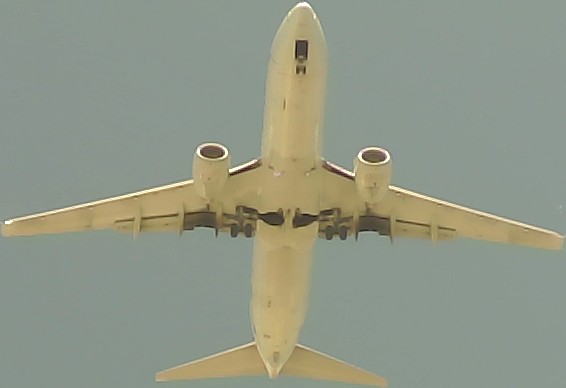 Airplane Picture