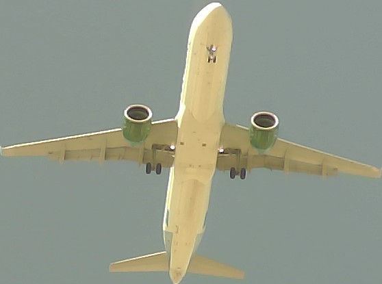 Airplane Picture