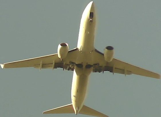 Airplane Picture