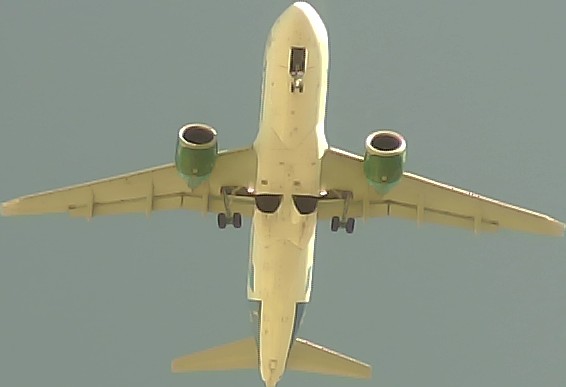 Airplane Picture