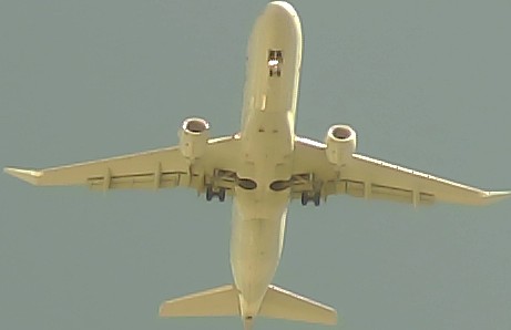 Airplane Picture