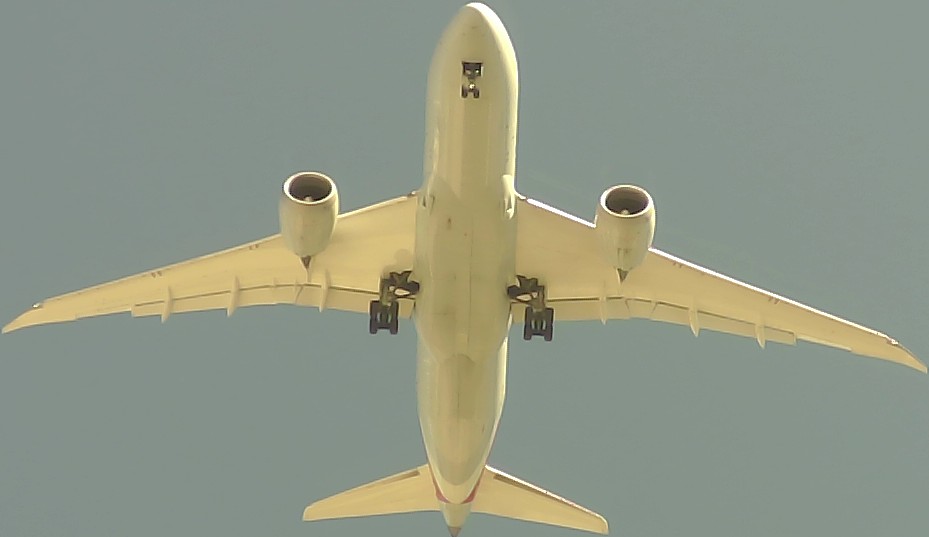 Airplane Picture