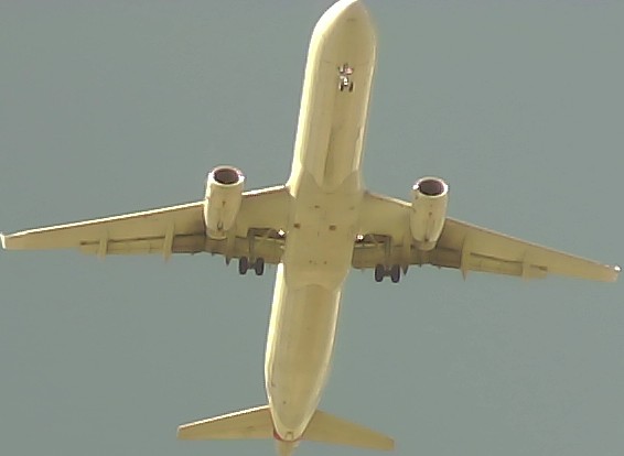 Airplane Picture