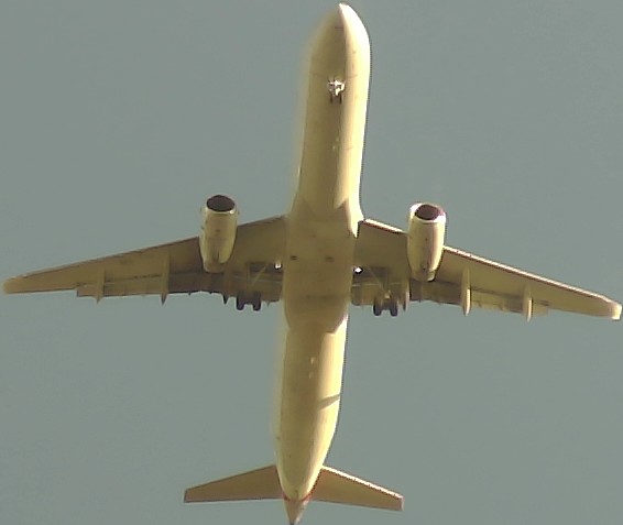 Airplane Picture