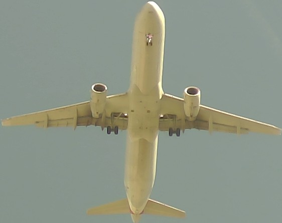 Airplane Picture