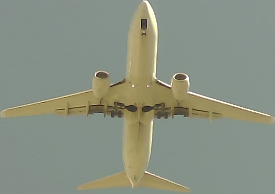 Airplane Picture