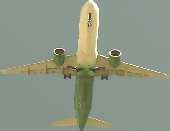 Airplane Picture