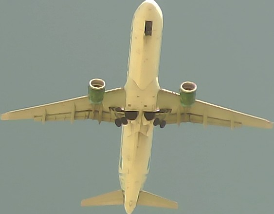 Airplane Picture