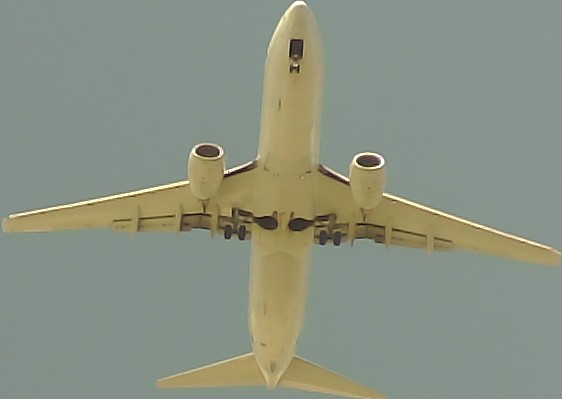 Airplane Picture